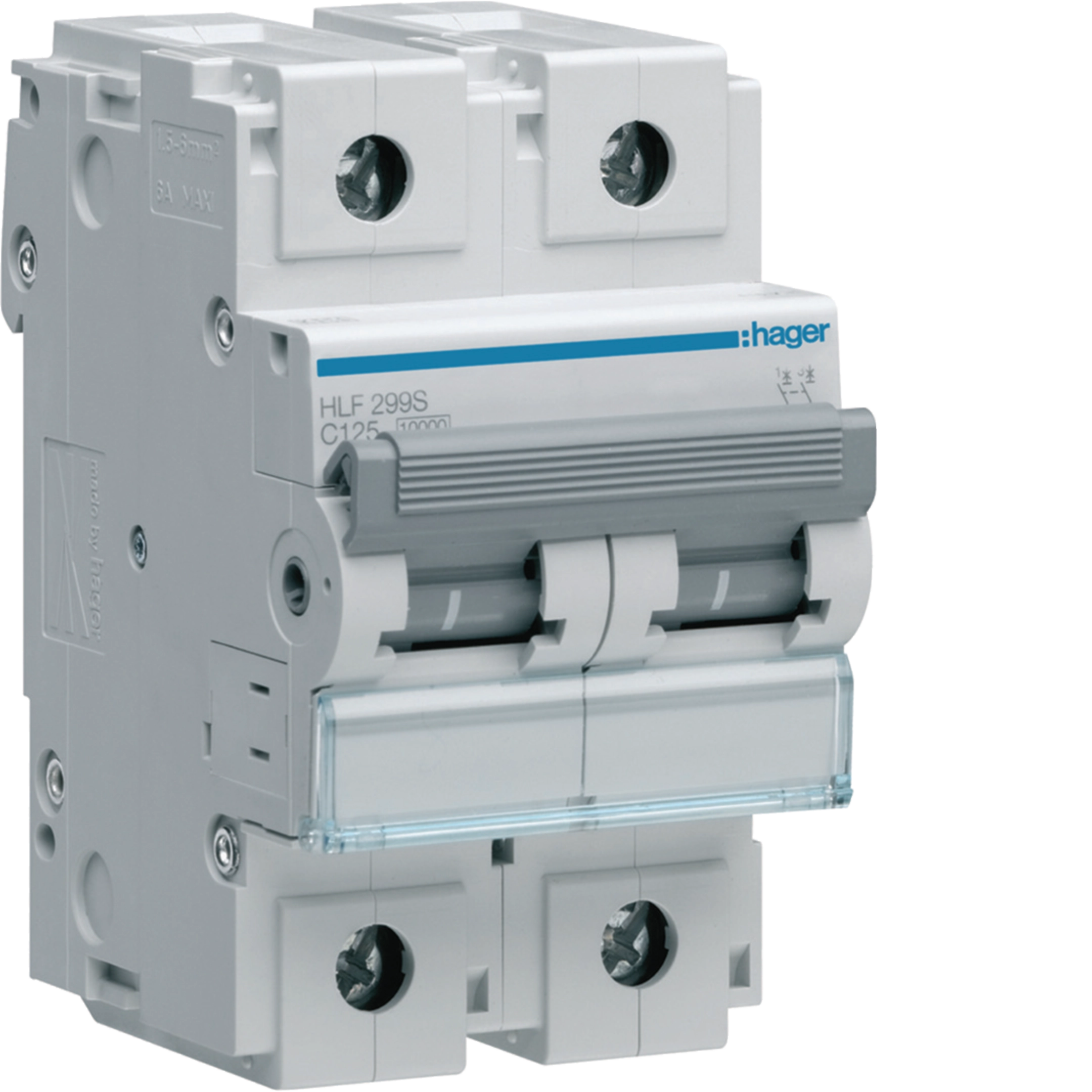 125A 2P 10KA C-CURVE MCB