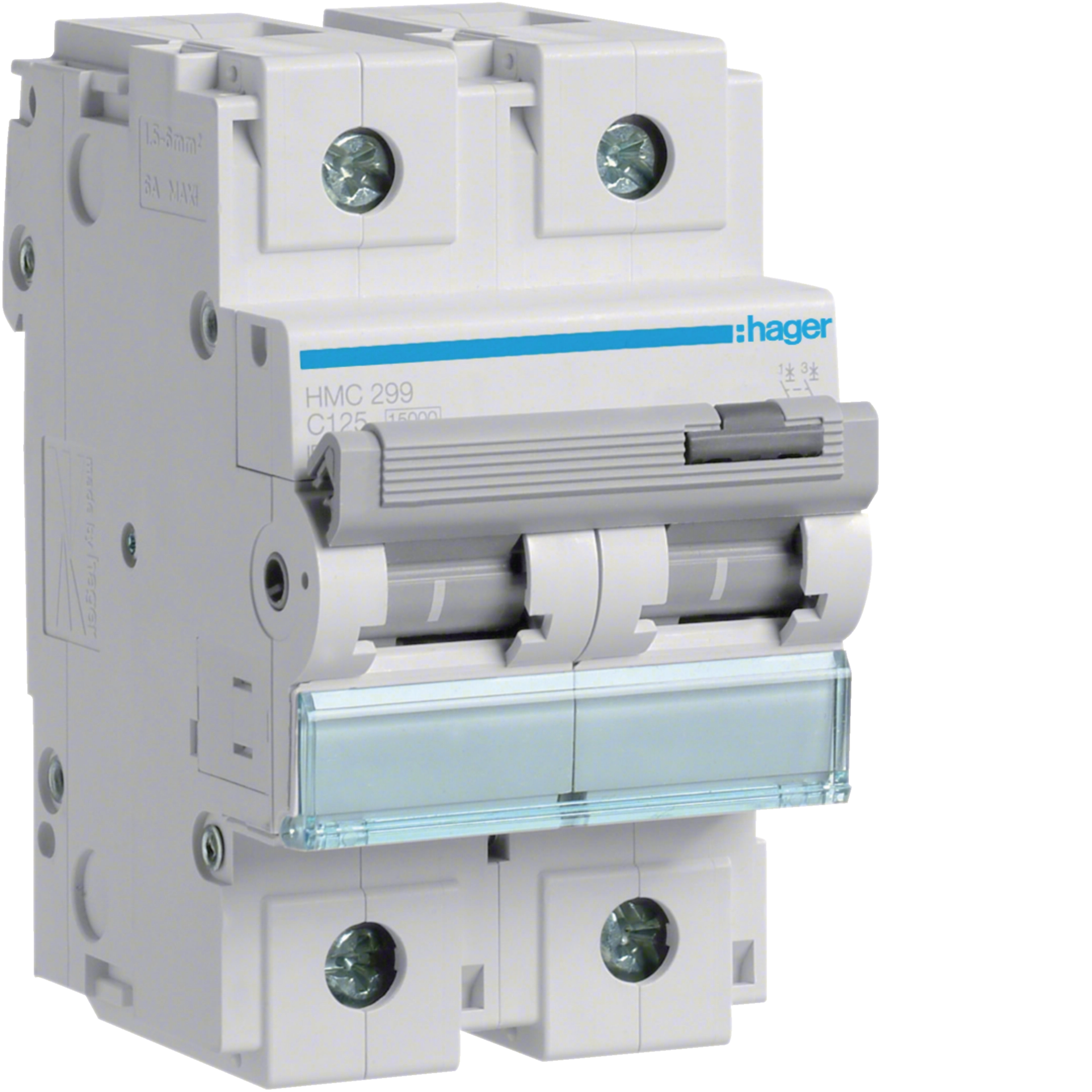 125A 2P 15KA C-CURVE MCB