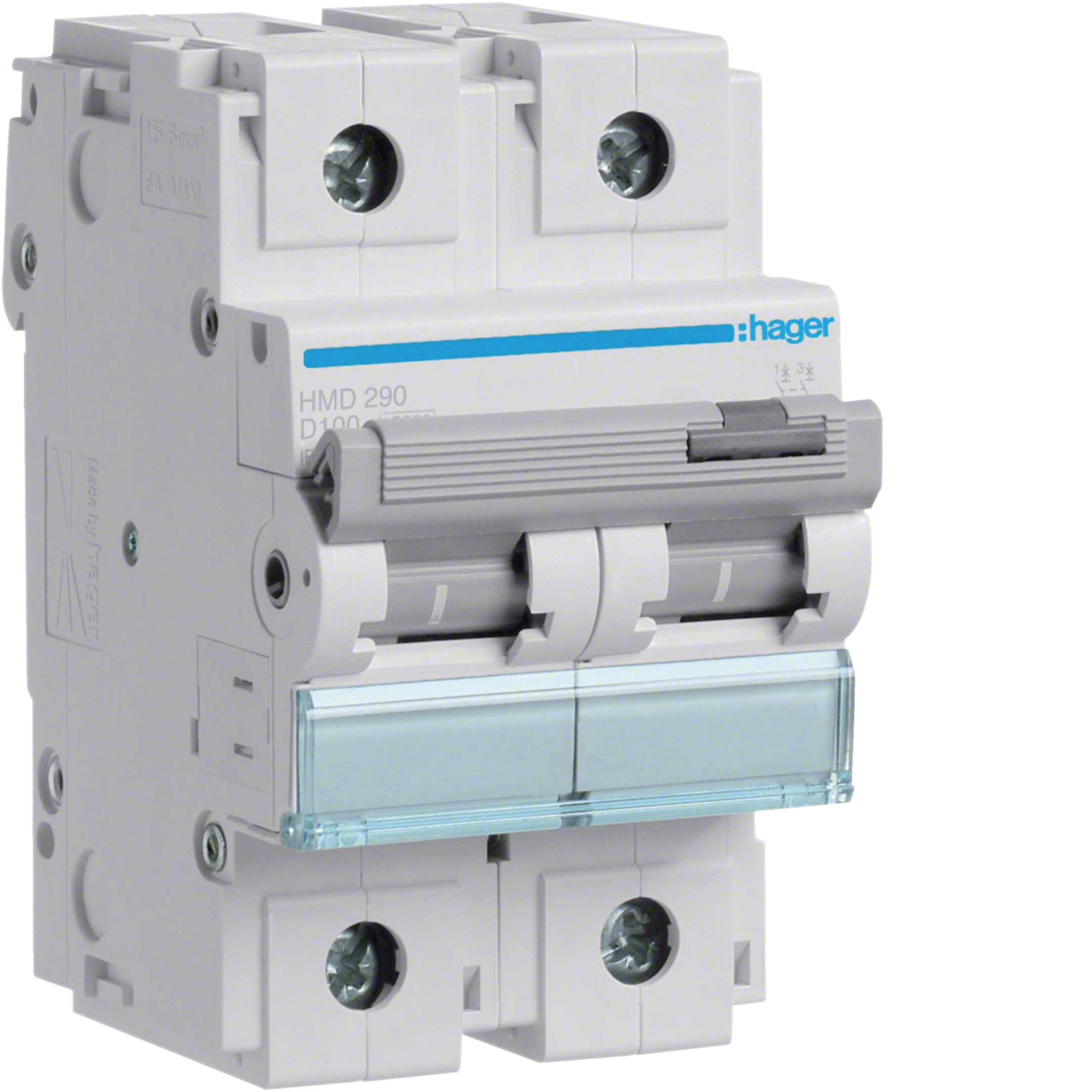 100A 2P 15KA D-CURVE MCB