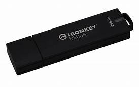 *Kingston IronKey D500S 256Gb