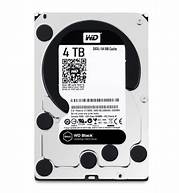 WD4005FZBX 4Tb blacK