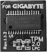 Gigabyte TPM module