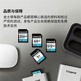 SDG4/1TB sdXc CanvasGo