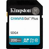 SDCG4/256GB miCrosdXc CanvaG