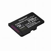 [SD-256GKCXCS3] SDCS3/256GB miCro sdXc Canvasp