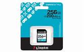 SDG4/256GB sdXc CanvasGo