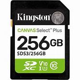[SD-256GKXCS3] SDS3/256GB sdXc Canvas SP