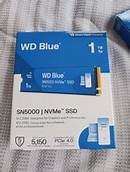 WDS100T4B0E nGff 1T SN5000