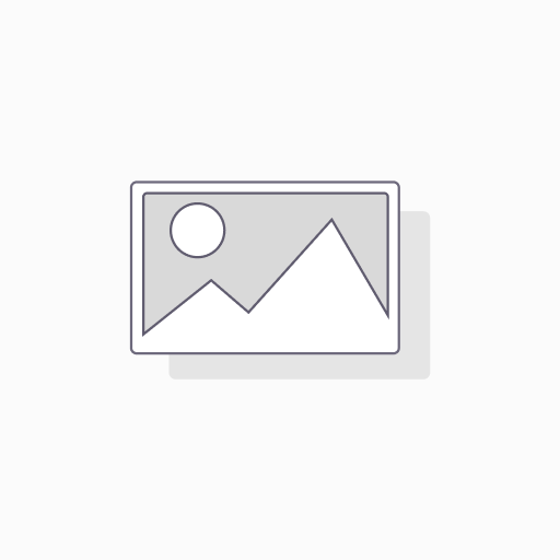 [PSM2-20/230 TT] TYPE 2 Imax 20kA 2P 1PH+N SPD